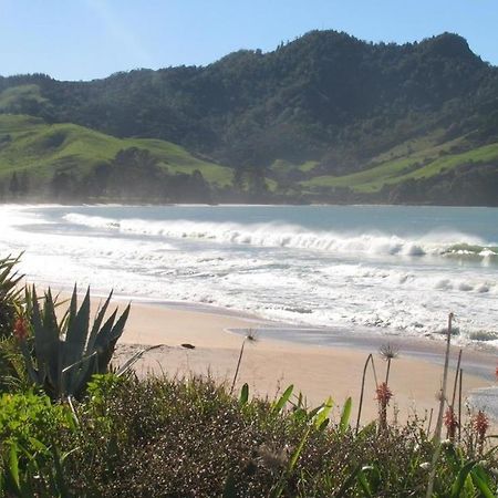 Hotel The Cowshed Whitianga Exterior foto